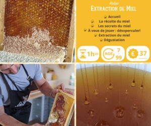 Réalisez l'extraction de votre miel !