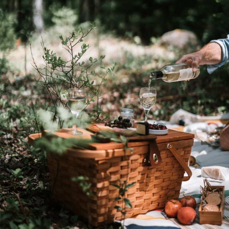 Les Pic-Nic Mielifiques